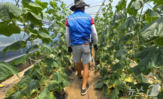 에어 냉각 조끼 입고 일하는 정종현 씨.2025.7.9/뉴스1 한송학 기자