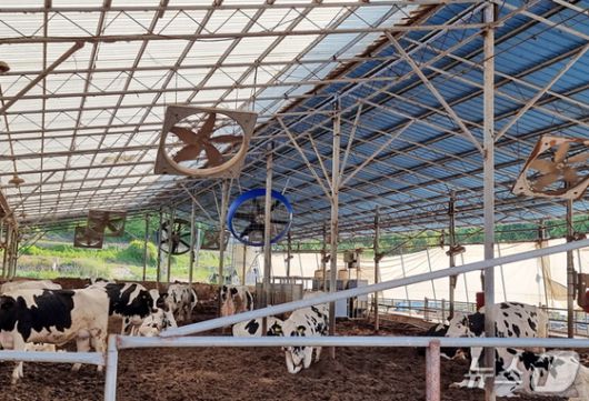 전북 임실군이 여름철을 앞두고 축산농가의 자연 재난 피해를 사전 예방하기 위해 축산시설에 대한 사전 안전점검을 실시한다.(임실군제공. 재판매 및 DB금지)2025.5.30/뉴스1