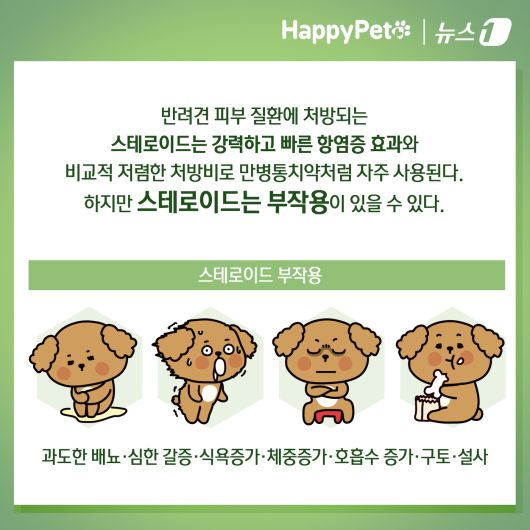 ⓒ News1 김초희 디자이너