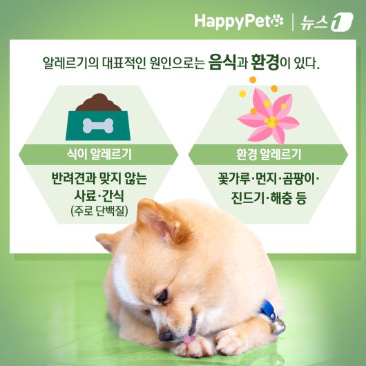 ⓒ News1 김초희 디자이너