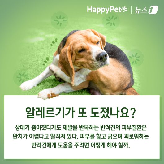 ⓒ News1 김초희 디자이너