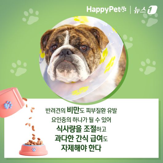 ⓒ News1 김초희 디자이너