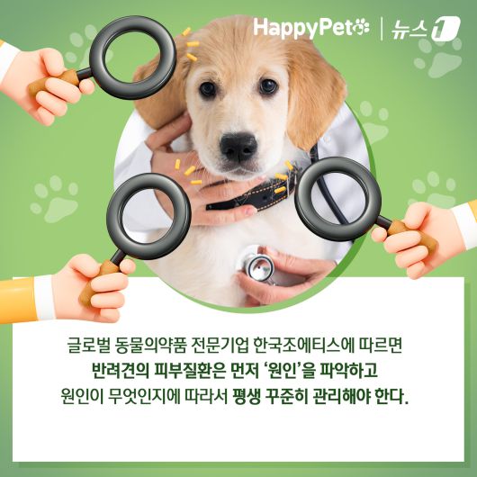 ⓒ News1 김초희 디자이너