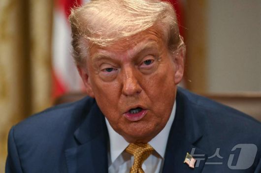 도널드 트럼프 미국 대통령 ⓒ AFP=뉴스1 ⓒ News1 류정민 특파원