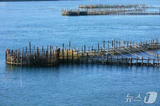 지족죽방렴.(남해군 제공. 재판매 및 DB금지)