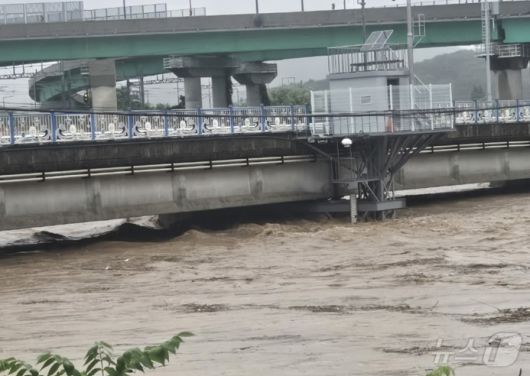 밤사이 세종지역에 200㎜의 폭우가 쏟아진 가운데 17일 조치원읍 신안리의 상조천교가 범람 위기에 놓여 있다. 금강홍수통제소는 이날 오전 8시 40분을 기해 이 다리와 전동면 송성리 송성2교에 홍수 심각 단계를 발령했다. (독자 제공. 재판매 및 DB 금지) 2025.7.17/뉴스1