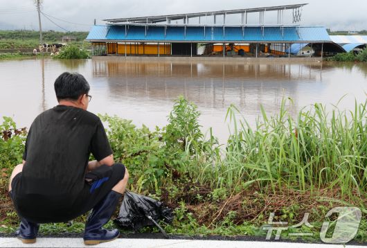 17일 충남 예산군 고덕면 용리에서 농장주가 침수된 우사를 바라보고 있다. 2025.7.17/뉴스1 ⓒ News1 김기태 기자