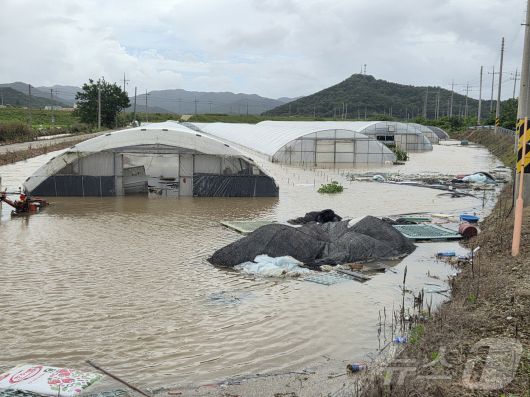 전남 영광 수해 피해 현장.(영광군 제공. 재배포 및 DB 금지)