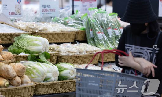 서울 시내 대형마트에 배추가 진열돼 있다. (자료사진) /뉴스1 ⓒ News1 이승배 기자