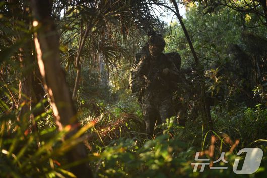 해병대는 지난 27일까지 호주 북동부 일대에서 미국, 호주 등과 함께 '25년 탈리스만 세이버 연합훈련'에 참가해 연합작전 수행능력을 향상했다고 28일 밝혔다. 탈리스만세이버 훈련 간 해병대 수색팀이 적지종심작전을 펼치고 있다. (해병대사령부 제공. 재판매 및 DB 금지) 2025.7.28/뉴스1