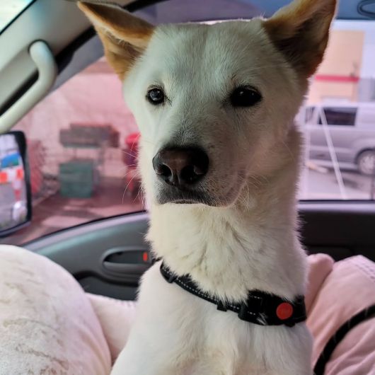 가족을 제일 사랑하는 봄이(인스타그램 baegkyuhyeon) ⓒ 뉴스1