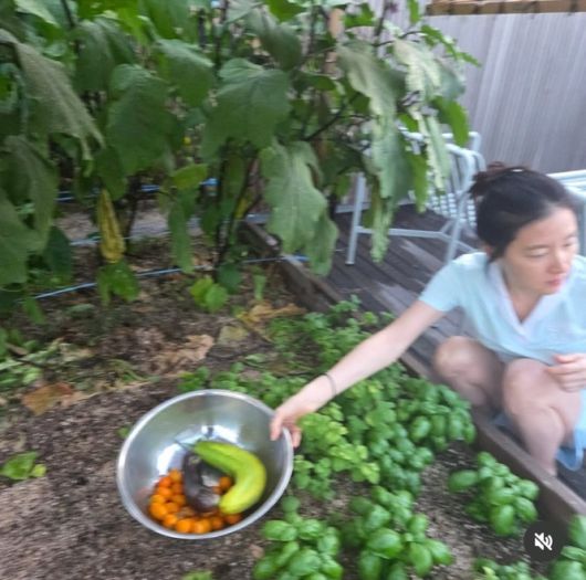 이영애 인스타그램