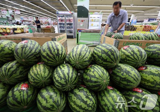 서울의 한 대형마트를 찾은 시민이 수박을 고르고 있다.  2025.8.5/뉴스1 ⓒ News1 구윤성 기자