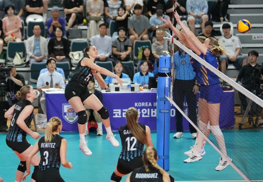 아르헨티나가 스웨덴을 꺾고 대회 2연승을 달렸다.(대한배구협회 제공)