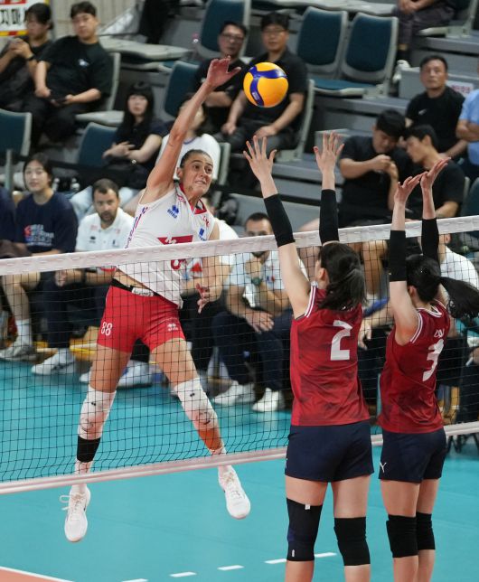 프랑스의 공격을 막고 있는 한국 선수들(대한배구협회 제공)