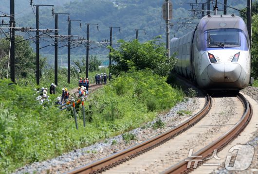 19일 오전 10시 52분쯤 경북 청도군 화양읍 삼신리 청도소싸움 경기장 인근 경부선 철로에서 마산으로 향하던 무궁화 열차가 선로에서 작업하던 근로자 7명을 치는 사고가 발생했다. 경찰과 소방, 코레일 등 관계자들이 사고 현장을 조사하는 가운데 우측으로 열차가 서행하고 있다. 2025.8.19/뉴스1 ⓒ News1 공정식 기자