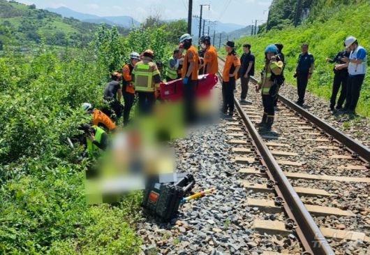 19일 오전 11시 50분쯤 경북 청도군 청도소싸움 경기장 인근 경부선 철로에서 마산으로 향하던 무궁화 열차가 선로에서 작업하던 근로자 7명을 치는 사고가 발생해 출동한 119구조대원이 부상자를 옮기고 있다.  (경북소방본부제공,재판매 및 DB금지) 2025.8.19/뉴스1 ⓒ News1 최창호 기자