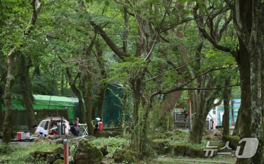한라산을 제외한 전국에 폭염특보가 내려진 24일 오후 제주 한라산국립공원 관음사 야영장에서 도민과 관광객들이 여유를 즐기고 있다. 2025.8.24/뉴스1 ⓒ News1 오현지 기자