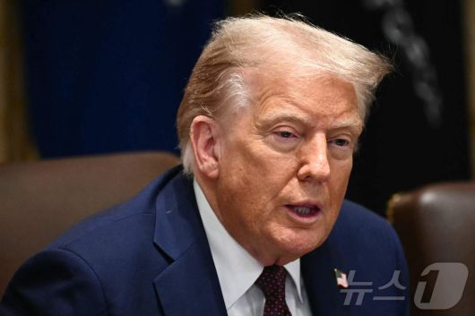 도널드 트럼프 미국 대통령. ⓒ AFP=뉴스1 ⓒ News1