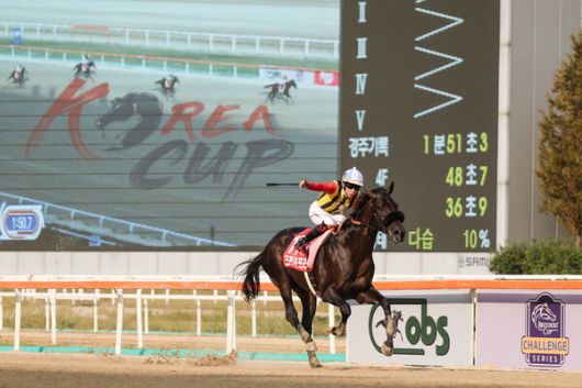 2024년 코리아컵 우승을 차지한 일본의 크라운프라이드와 요코야마 기수가 세리모니를 펼치고 있다(한국마사회 제공)