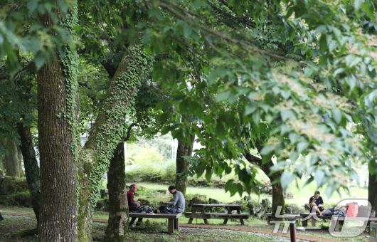 제주 한라산국립공원 관음사 야영장에서 도민과 관광객들이 여유를 즐기고 있다. 2025.8.24/뉴스1 ⓒ News1 오현지 기자