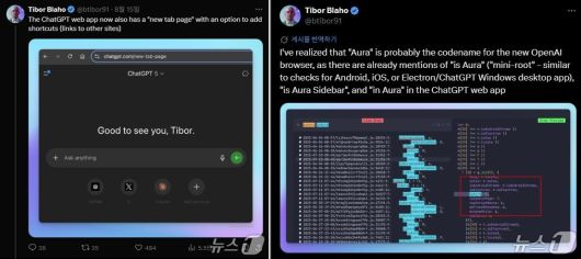 티보 블라호 엔지니어가 발견한 오픈AI 내부 코드 분석(X 갈무리)
