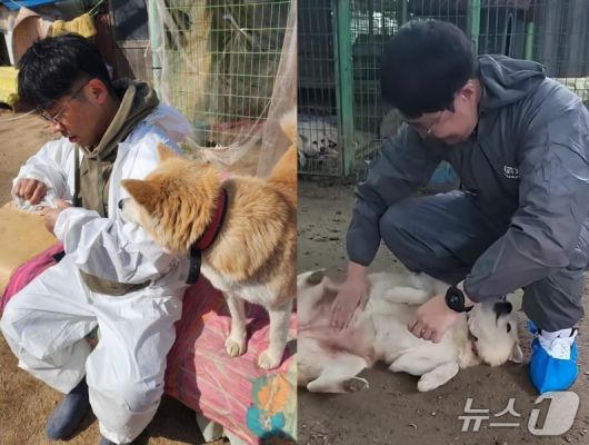 한국수의심장협회에서 보호소 봉사를 하고 있다(협회 제공). ⓒ 뉴스1