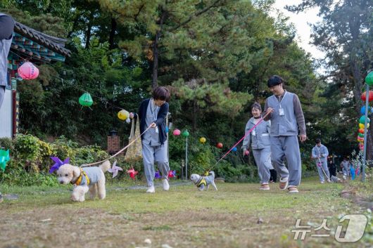 1일 충북 증평 미륵사에서 진행한 '댕플스테이' 참가자들이 반려견과 사찰을 돌아보고 있다.(증평군 제공, 재판매 및 DB금지)/뉴스1