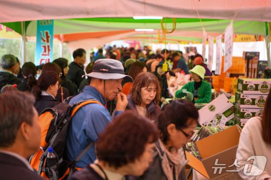 양구 시래기 사과축제(양구군 제공. 재판매 및 DB금지)/뉴스1