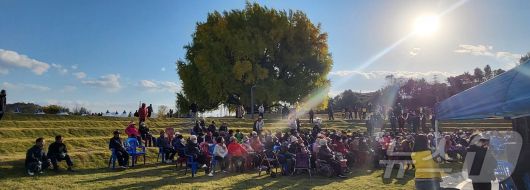 2일 강원도 원주시 문막읍 반계리 은행나무광장에서 열린 '2025 반계리 은행나무 축제'를 찾은 관광객 등이 노랗게 물들어 가고 있는 은행나무를 구경하고 있다. 국내 최고 수령(1318년 추정)인 반계리 은행나무는 천연기념물 제167호로, 높이 32m·둘레 16.27m 규모를 자랑한다. 올해 반계리 은행나무의 단풍은 평년보다는 절정 시기가 늦은 편이지만, 이날 축제는 예년에 버금가는 수준의 인파가 몰리면서 성황을 이루고 있다. 2025.11.2뉴스1 ⓒ News1 신관호 기자