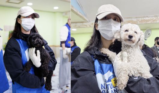 입양 홍보를 위해 보호견들을 안고 사진을 찍고 있는 배우 김소현 ⓒ 뉴스1