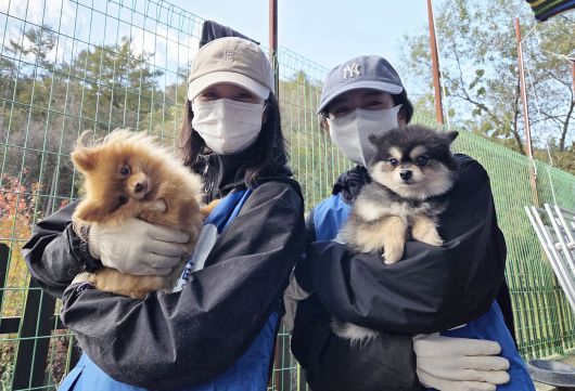입양 홍보를 위해 보호견들을 안고 사진을 찍고 있는 배우 김소현(왼쪽), 최지우 ⓒ 뉴스1 한송아 기자