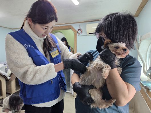 이가흔 수의사(왼쪽)와 서정주 수의사가 보호견에게 예방접종을 하고 있다. ⓒ 뉴스1 한송아 기자