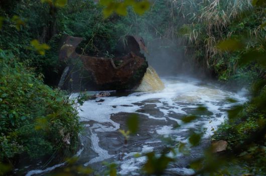 마리-린 키플리, 낚시를 떠난 할머니, 2021-2025, 한지, 건조식물, HD, 단채널 비디오, 컬러, 5분 49초 (국립현대미술관 제공)