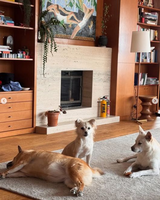 이상순 인스타그램