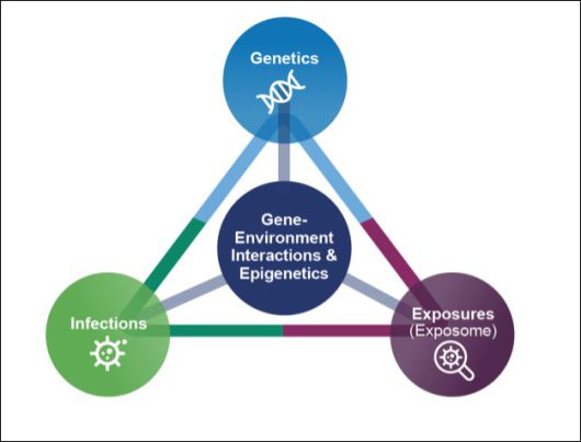 인간 노출체 프로젝트(Human Exposome Project ) 개념도.(토마스 하퉁 미국 존스홉킨스 블룸버그 공중보건대 교수 제공)/한국과학기자협회 공동취재단