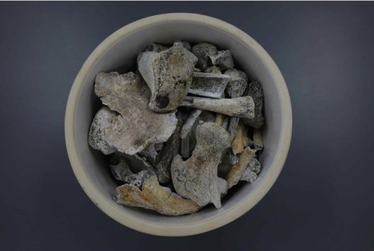 2005년 3월 국방부 유해발굴감식단이 발굴한 고(故) 정용환 일병의 유해.(국방부 제공)