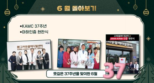 고려동물메디컬센터 종무식에서 공개된 한 해 병원의 성과를 돌아보는 영상 일부(동물병원 제공) ⓒ 뉴스1