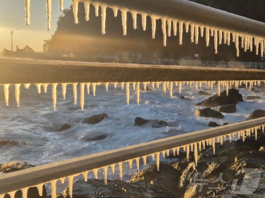 강원 대부분 지역에 한파특보가 발효된 26일 동해안 대표 해안도로인 강릉시 강동면 심곡~금진 구간 헌화로 난간에 고드름이 매달려 있다. 2025.12.26/뉴스1 ⓒ News1 윤왕근 기자