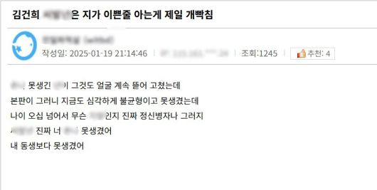 김 변호사가 A 커뮤니티에 작성한 김건희 여사와 관련된 글./A 커뮤니티 갈무리