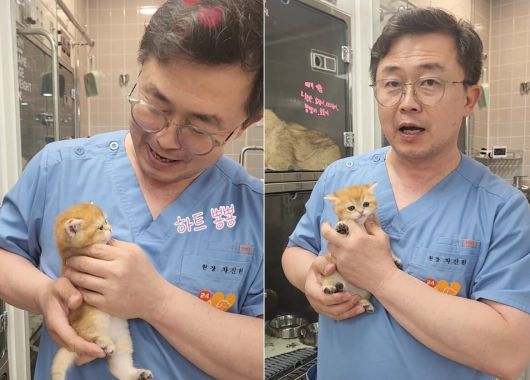 차진원 월드펫동물메디컬센터 원장이 새끼 고양이를 안고 미소를 짓고 있다. ⓒ 뉴스1 한송아 기자