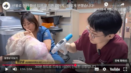 VIP동물의료센터 유튜브 채널 갈무리 ⓒ 뉴스1