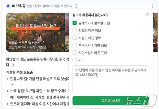 네이버 AI 브리핑 피드백 기능 (네이버 AI 브리핑 갈무리)