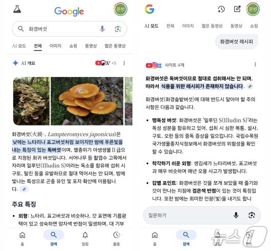 (구글 AI 개요 및 AI 모드 갈무리)