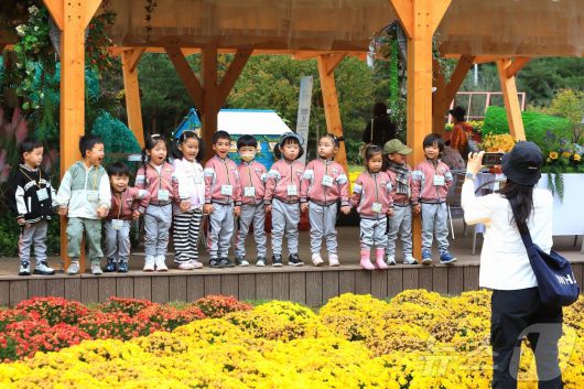 인제군 북면 용대리 일원에서 열린 가을꽃 축제장 모습 (인제군 제공. 재판매 및 DB 금지) 2025.10.16/뉴스1