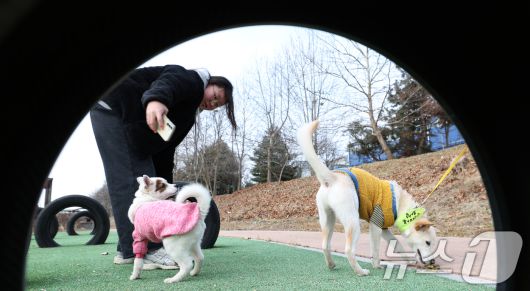 14일 경기 화성시 마도면 반려마루 화성에서 청소년 자원봉사자들이 방학을 맞아 보호동물과 교감활동을 하고 있다.  2026.1.14/뉴스1 ⓒ News1 김영운 기자
