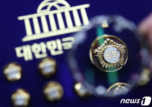 국회의원 배지. 뉴스1 ⓒ News1 자료 사진