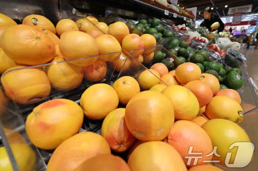 14일 서울시내 한 대형마트에 수입 과일이 진열돼 있다. 이날 한국은행이 발표한 '2025년 12월 수출입물가지수 및 무역지수(잠정)'에 따르면, 지난달 수입물가지수(원화 기준 잠정치·2020년=100)는 143.20으로 전월(141.47) 대비 0.7% 상승했다. 전년 동월 대비로도 0.3% 올랐다. 수입물가가 전월 대비 기준으로 6개월 연속 상승한 것은 2021년 5~10월 이후 가장 긴 상승 기간이다. 2026.1.14/뉴스1 ⓒ News1 황기선 기자