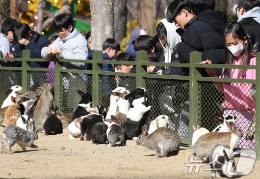 겨울답지 않게 포근한 날씨가 이어진 16일 대구 달서구 테마파크 이월드 동물원을 찾은 어린이들이 토끼 먹이 주기 체험을 하고 있다. 2026.1.16/뉴스1 ⓒ News1 공정식 기자