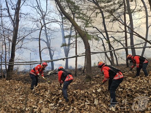 산림청 산불특수진화대가 16일 오전8시 54분 서울특별시 강남구 구룡마을에서 발생한 주택 화재가 산림으로 확산되지 않도록 방화선을 구축하고 있다.(산림청 제공.재판매 및 DB금지)2026.1.16/뉴스1 ⓒ News1 박찬수 기자